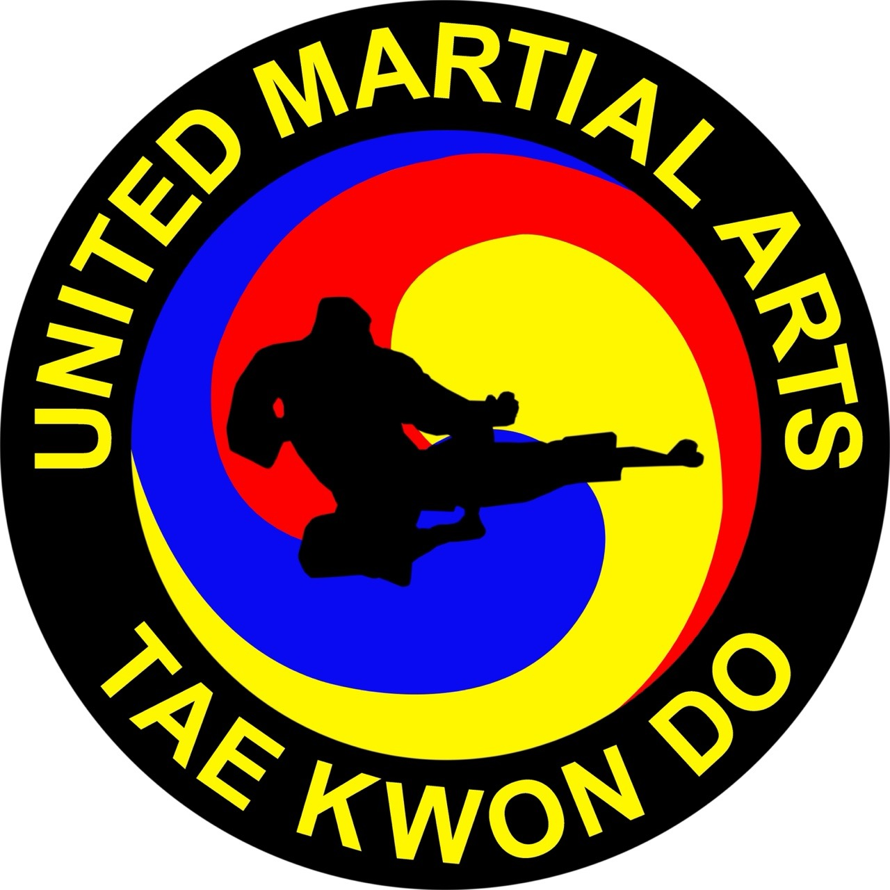 Taekwondo Master Teaching Students